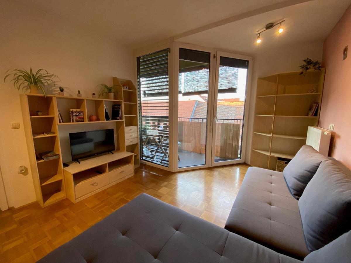Apartma Felicija 卢布尔雅那 外观 照片