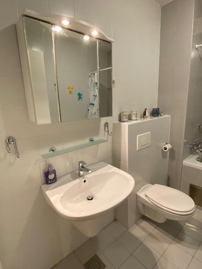 Apartma Felicija 卢布尔雅那 外观 照片